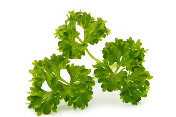 Fresh parsley herb leaves isolated on white background.