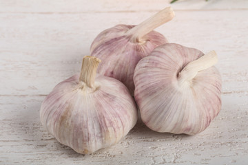 Garlic