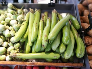 Green Eggplant for sale