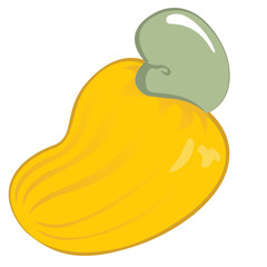 Illustration of an icon cashew fruit. Ideal for educational and institutional materials