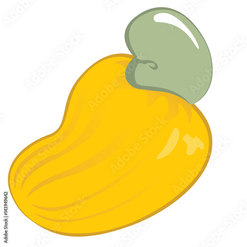 "Illustration of an icon cashew fruit. Ideal for educational and
