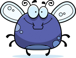 Smiling Little Fly