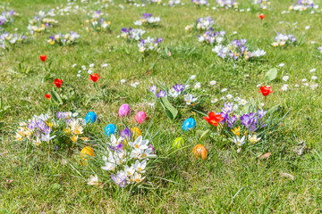 Bunte Ostereier auf grünem Gras mit schönen frühlings Blumen