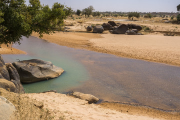 Dried out river bed of the Niger River, Niger, West Africa