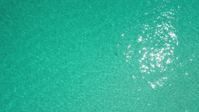 Aerial drone video snorkeling tour miami