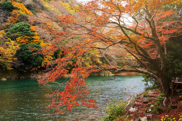 Autumn foliage colors at Arashiyama