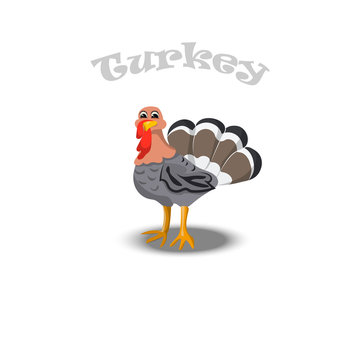 turkey for thanksgiving Celebration Design