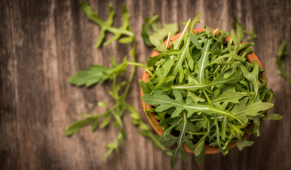 Fresh juicy arugula on wooden background and copy space