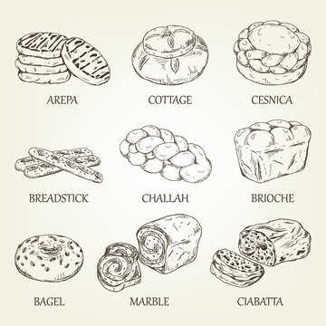 Hand-drawing collection of bakery products. Vector illustration with realistic bread icons. Graphic kinds of pastry designed for advertising bakery, restaurant menu, logo or recipe book design.