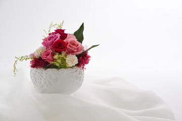 preserved flowers