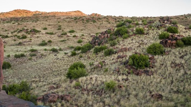 Linear timelapse moving down (vertical) of a Karoo landscape scene with rolling hills, rocks, shrubs and grass early morning, at sunrise available on request.