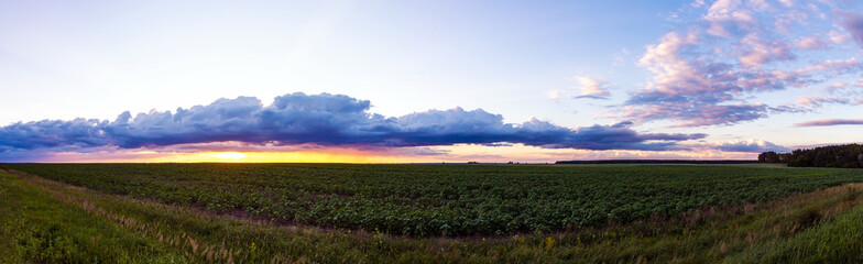 Fototapeta na wymiar beautiful sunset over the field