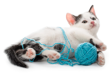 kitten playing with yarn ball - 143954879