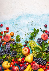 various fruits and berries