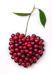 Fresh cherries