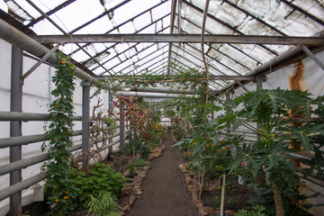 greenhouse