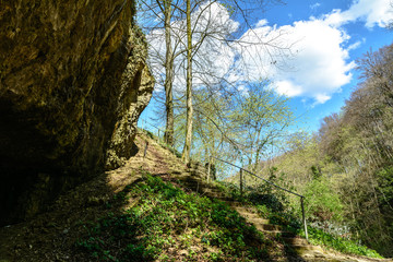 Treppe in der Natur und Wildnis im Wald im Sommer