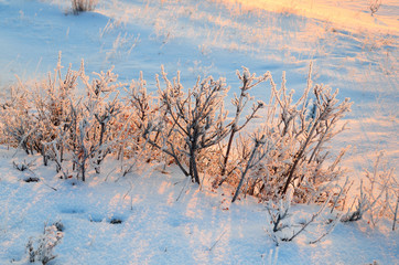Берег озера Байкал в районе мыса Большой Кадильный зимним утром на воссходе солнца