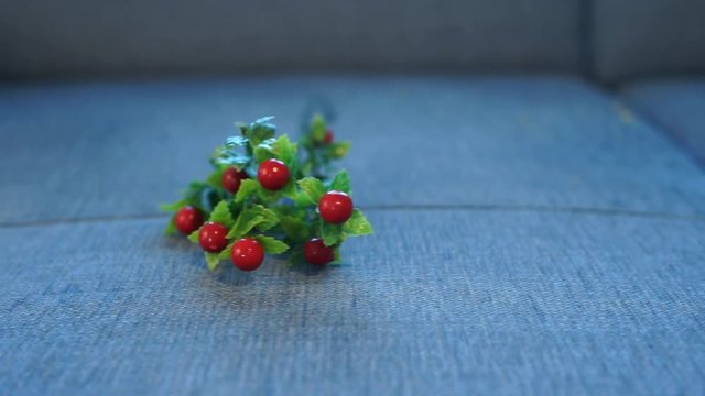 zielona gałązka i czerwone jagody jarzębiny