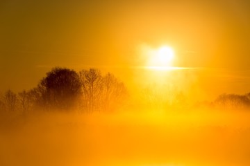 Dream landscape of misty morning_