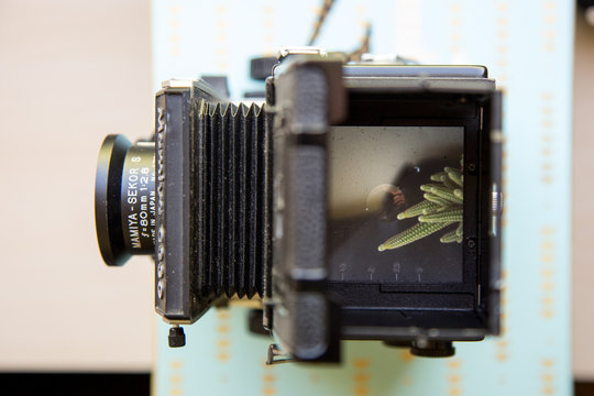 Vintage Camera