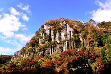 一目八景の紅葉
