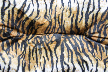 close up tiger skin texture