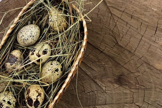 Quail eggs in a basket with hay