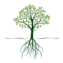 Green Tree with Roots and Leafs. Vector Illustration.