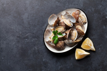 Fresh seafood bowl on stone table. Scallops