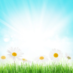 Fototapeta na wymiar Abstract sunny spring background