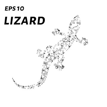 The lizard consists of points, lines and triangles. The polygon shape in the form of a silhouette of a lizard on a white background. Vector illustration.