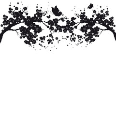 beautiful flower branch ,black silhouette, on a white