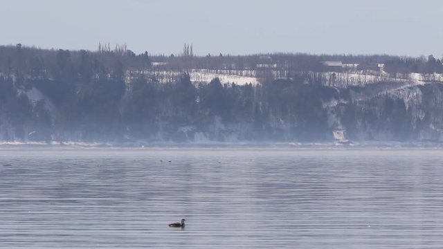 fleuve