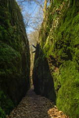 Fototapeta premium Drachenschlucht