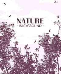 Wild forest background with flying birds and text, vector illustration