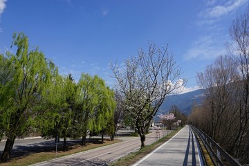 Frühlingserwachen in Südtirol