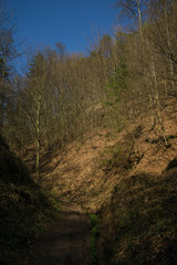 Drachenschlucht