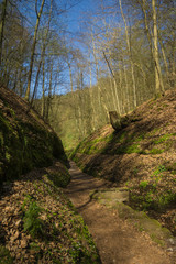 Drachenschlucht