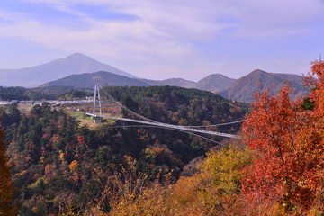 九酔渓と九重大吊橋