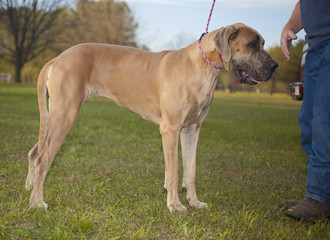 Listening to commands