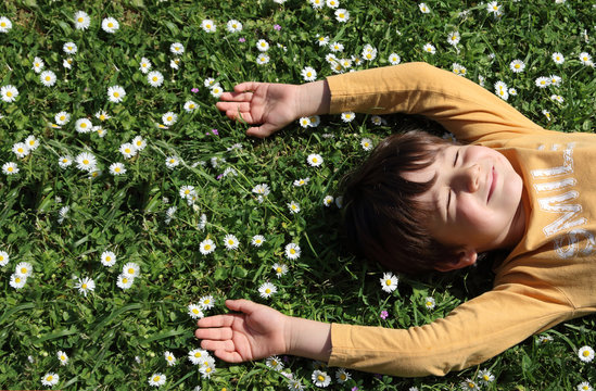 happy little kid lying in the grass with daisies