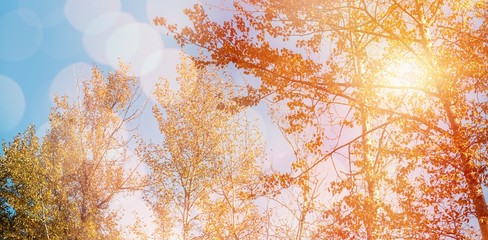 Composite image of glowing background