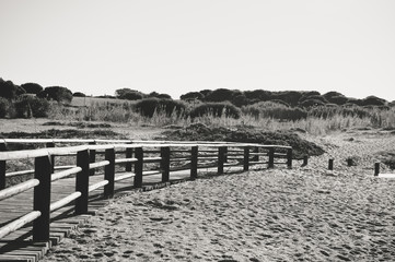 Beautiful sunny holiday travel seascape, wooden bridge on sandy beach outdoors background