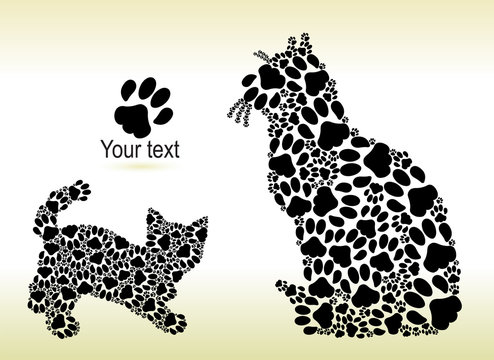 Silhouettes of cat and kitten from the cat paws