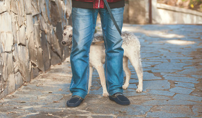 Curious puppy black and white half-blood dog standing behind the man's legs at the footpath near the wall