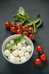 Mozzarella cheese, basil and tomatoes cherry on a gray background