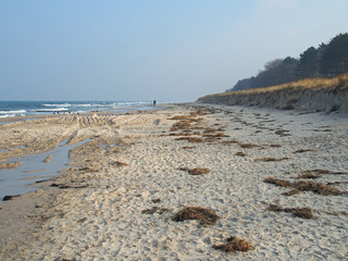Strand von Zingst