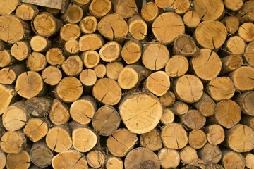 Möbelaufkleber dry firewood, natural wooden background © regiya