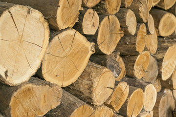 dry firewood, natural wooden background